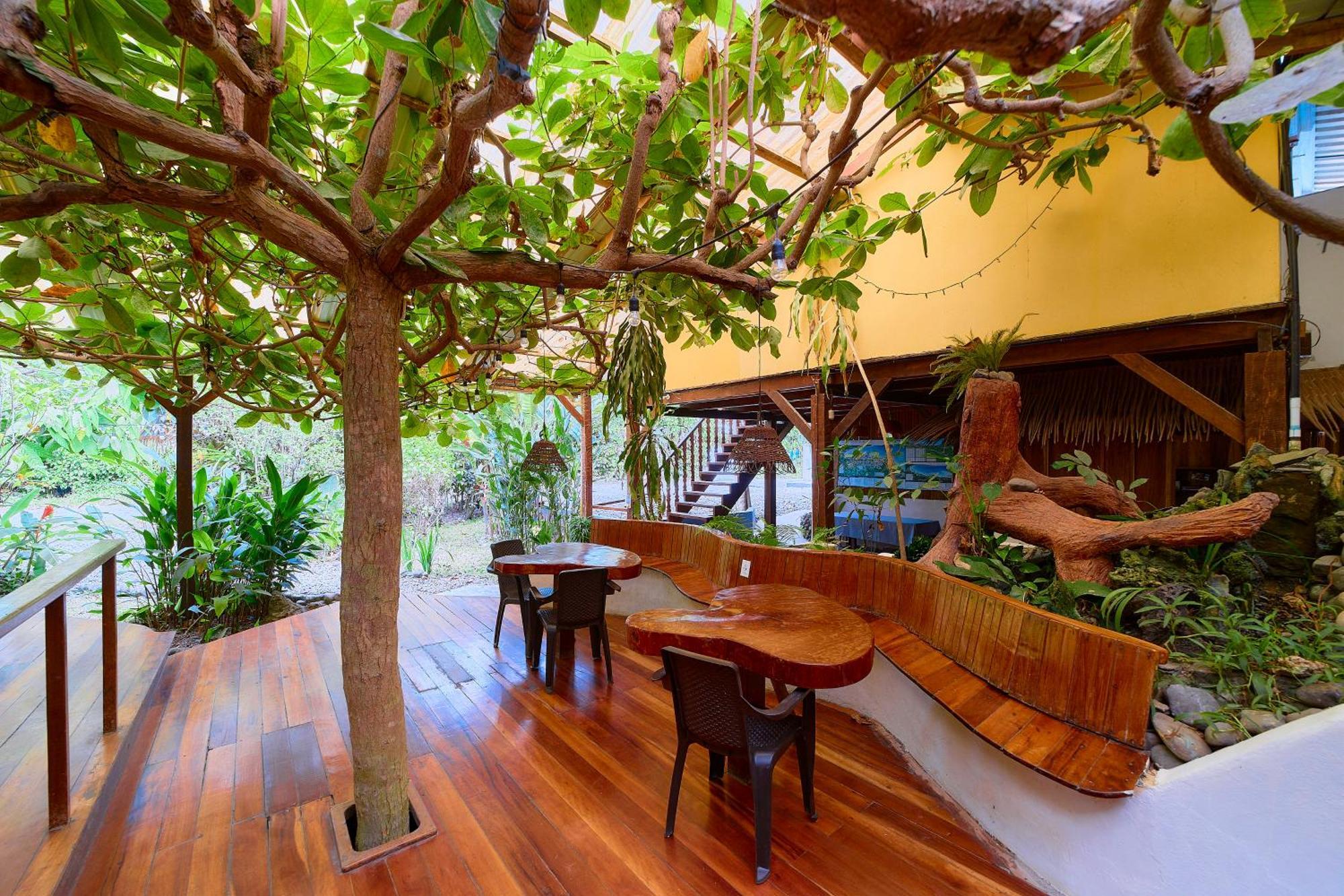 Cabinas Montesol Puerto Viejo de Talamanca المظهر الخارجي الصورة