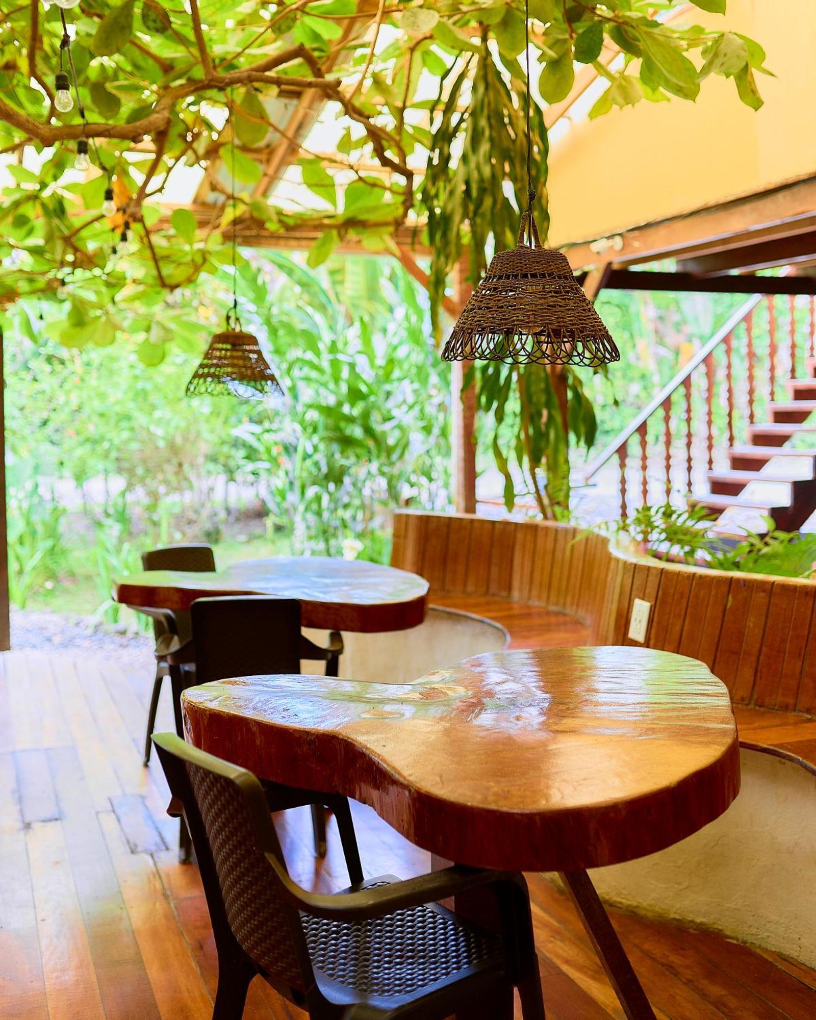 Cabinas Montesol Puerto Viejo de Talamanca المظهر الخارجي الصورة